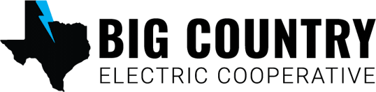 Election Logo