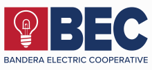 Election Logo