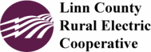 Election Logo