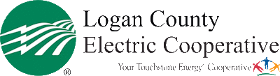 Election Logo