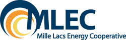 Election Logo