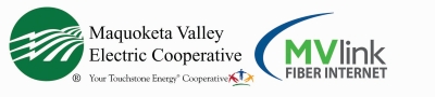 Election Logo