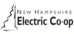Election Logo
