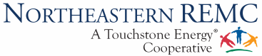 Election Logo