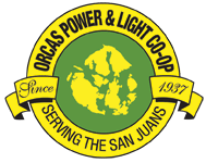 Election Logo