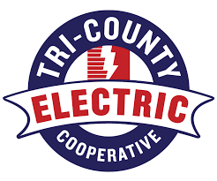 Election Logo