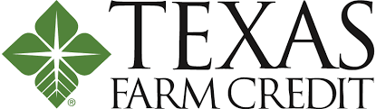 Election Logo