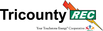 Election Logo