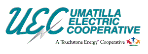 Election Logo