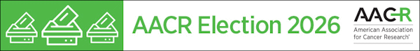Election Logo