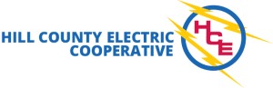 Election Logo
