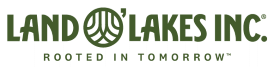 Election Logo