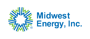 Election Logo
