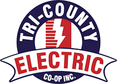 Election Logo
