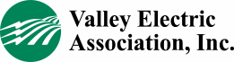Election Logo